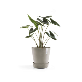 5413724326489_02-Saucer-Wheels-30-Taupe