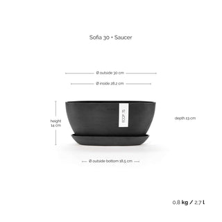 Sofia 30 + Saucer DG