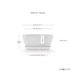 Sofia 30 + Saucer W