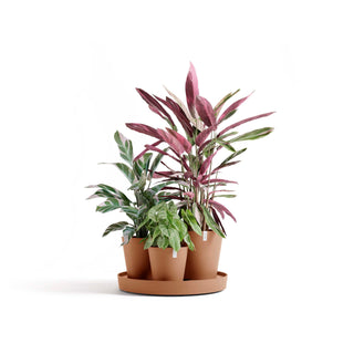 5413724329664_01-Dubai-Terra