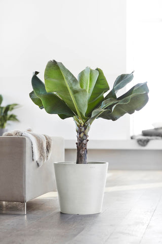 5413724329800_92-Amsterdam-40-Water-Reservoir-Pure-White