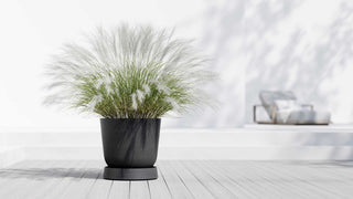 5413724330363_90-Saucer-Wheels-Oslo-55-Dark-Grey