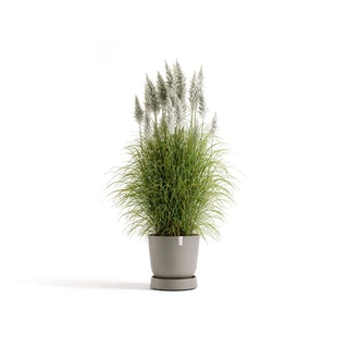 5413724330387_11-Saucer-Wheels-Oslo-45-Taupe