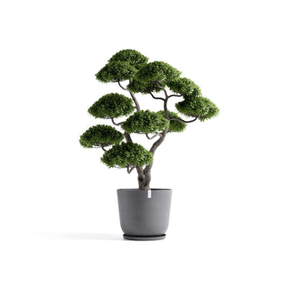 5413724332299_11-Oslo-75-Grey