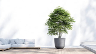 5413724332299_90-Oslo-75-Grey