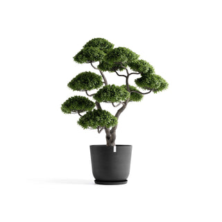 5413724332312_11-Oslo-75-Dark-Grey