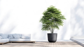 5413724332312_90-Oslo-75-Dark-Grey