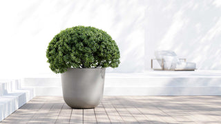 5413724332329_90-Oslo-65-Taupe