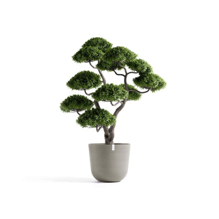 5413724332336_01-Oslo-75-Taupe