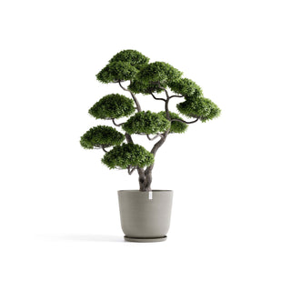 5413724332336_11-Oslo-75-Taupe