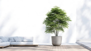 5413724332336_90-Oslo-75-Taupe