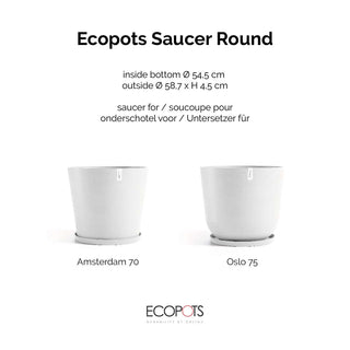 5413724332954_70-Saucer-Round-70-Pure-White