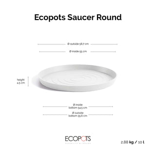 5413724332954_80-Saucer-Round-70-Pure-White