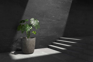 5413724337539_90 Juno 60 River Stone