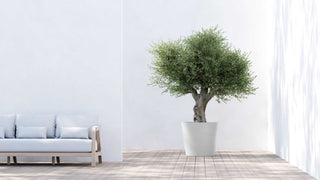 5413724340508_90-Amsterdam-70-Pure-White