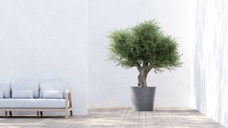 5413724340522_90-Amsterdam-70-Grey