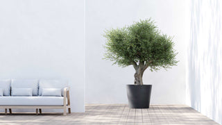 5413724340539_90-Amsterdam-70-Dark-Grey