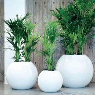 Bjørnevåg kula er en særdeles holdbar og lett plantekrukke