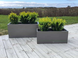 Brekkevik plantekasse i fiberglass, to stk med grønne planter.