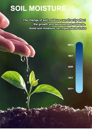 Informasjon om hvorfor fuktmåler er nyttig.