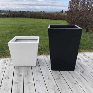 Havik krukka i sort og hvit.