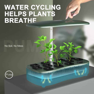 Vannsirkulering hjelper plantene og puste