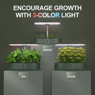 Frem veksten med farget lys.