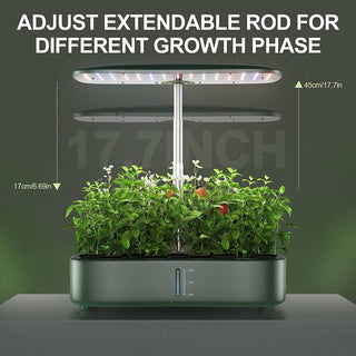 Den hydroponiske plantekassen har lyset på en stang som kan heves i takt med de ulike vekst fasene.