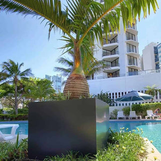 Beplantet Loshavn krukke