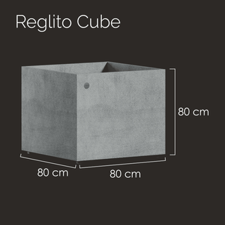Reglito-Cube-80