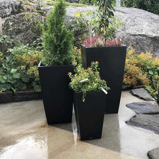 3 stk Spangreid krukka sammen i en stilig gruppe.