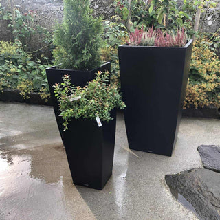 Spangereid krukka med blomster og grønne planter