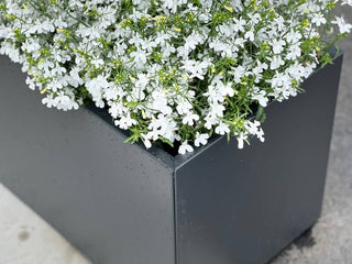 Plantekasse i galvanisert stål, 140x40x40 cm, med selvvanning, sort