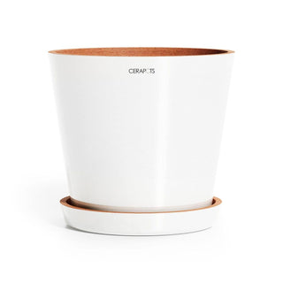 Cerapots underfat i fargen pearl med potte.
